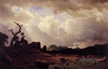 Albert Bierstadt Werke - Thunderstorn in den Rocky Berg Albert Bierstadt